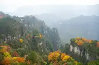 赴光霧山,收藏秋季限定浪漫