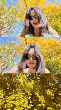 湖州·長興十里銀杏長廊|鋪就一地金黃!