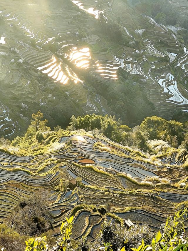 初冬壩達梯田遊玩攻略｜萬畝鎏金梯田間，解鎖少人知曉的暖調秘境