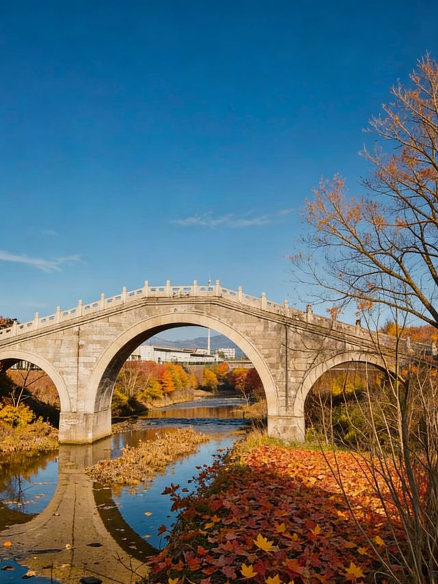 初冬覽山公園遊玩攻略|賀蘭山畔落日秘境 初冬覽山公園遊玩攻略|賀蘭山畔落日秘境