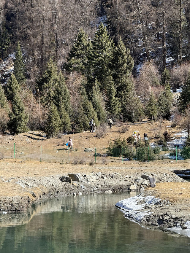 川西絕美理小路一日遊藍冰雪山治癒打工人！