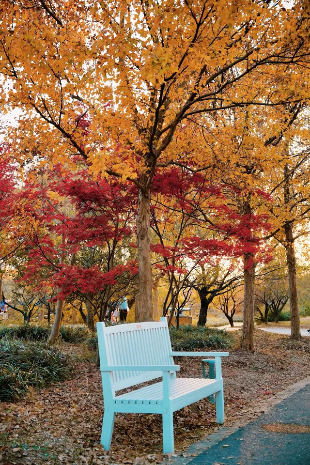上海殺瘋了! 上海殺瘋了!