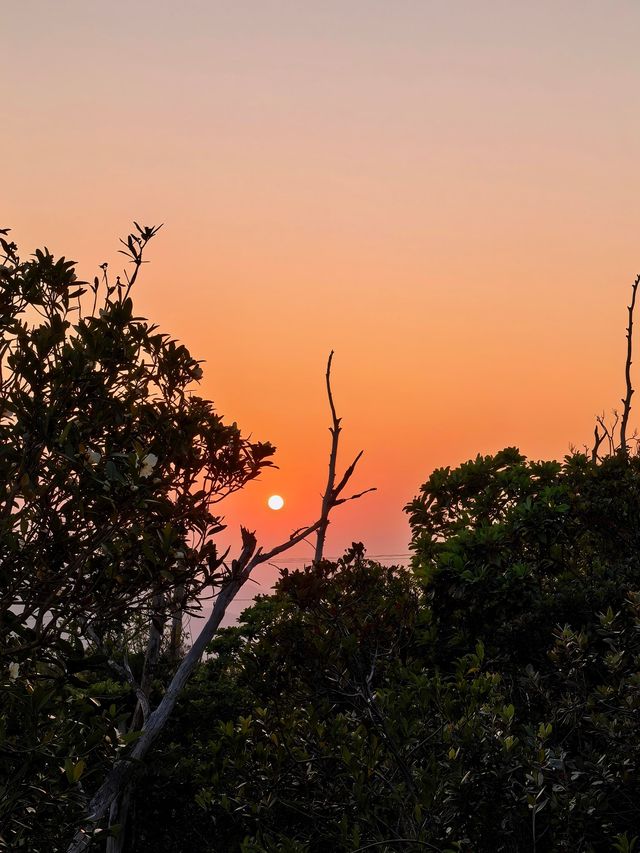 香港徒步|週末用腳步丈量山海！
