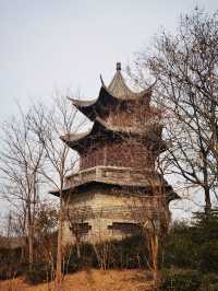 唐島灣濕地公園