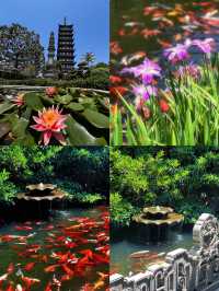 上海隱世古寺|700年真如寺,藏著都市裡的慢時光