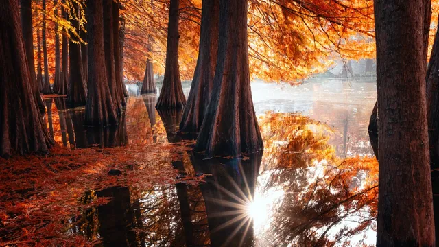 連夜來到南京只為拍到這幾張