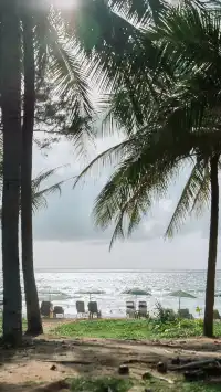 用全螢幕打開布吉島假日