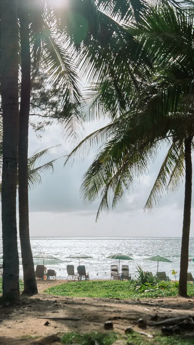 用全螢幕打開布吉島假日