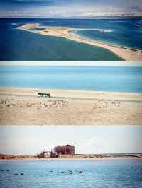 藍冰季限定預告！還有這裡可以免費直達