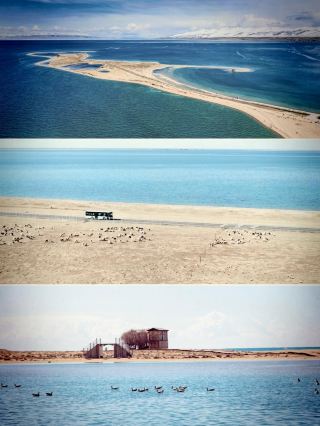 ブルーアイスシーズン限定予告！さらにここから無料で直行可能