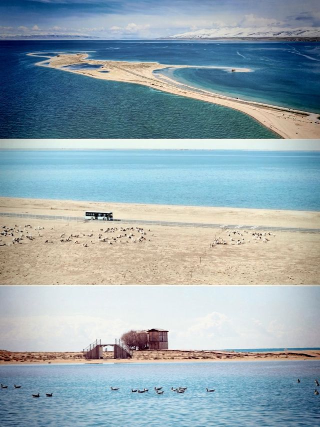 藍冰季限定預告！還有這裡可以免費直達