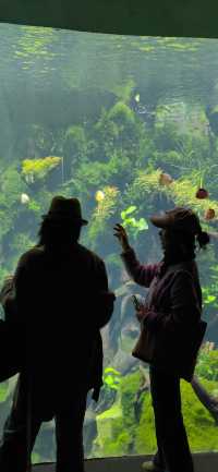 魔都打卡日記世博溫室花園+3號倉庫美食探店