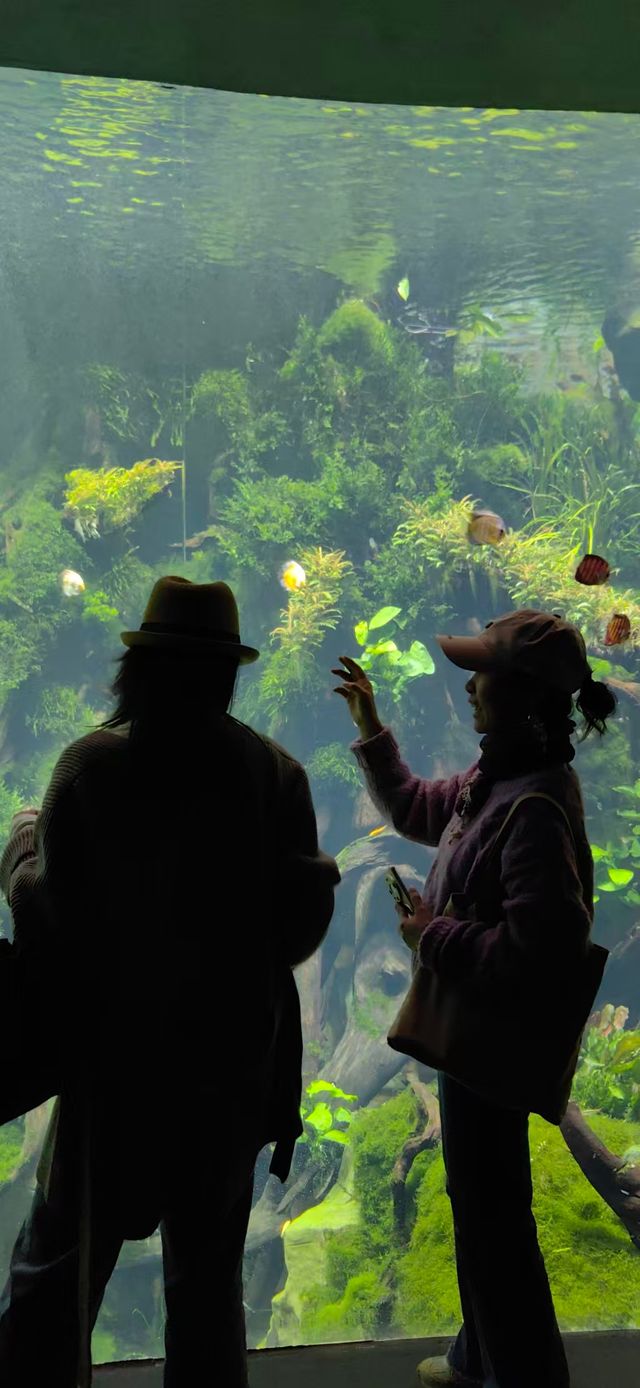 魔都打卡日記世博溫室花園+3號倉庫美食探店 魔都打卡日記世博溫室花園+3號倉庫美食探店