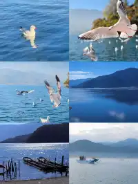 麗江瀘沽湖｜兩天一晚把晨霧+環湖玩明白了