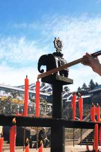 峨眉山“猴哥”相處指南