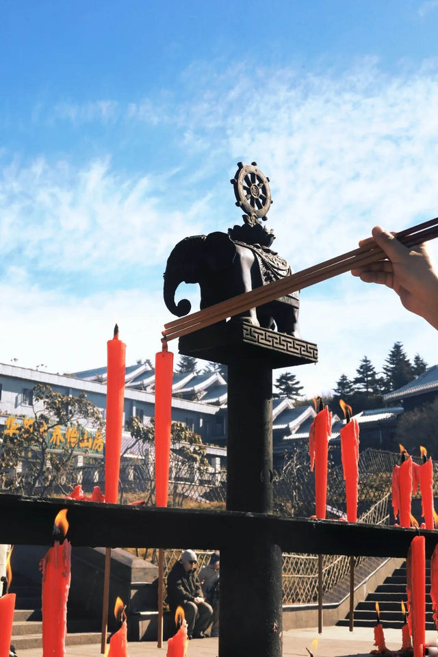 峨眉山“猴哥”相處指南