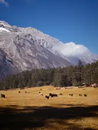 12.1玉龍雪山之旅