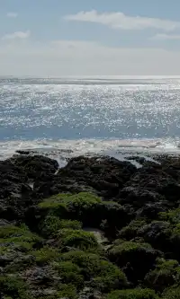 墾丁丨台灣最美26號公路