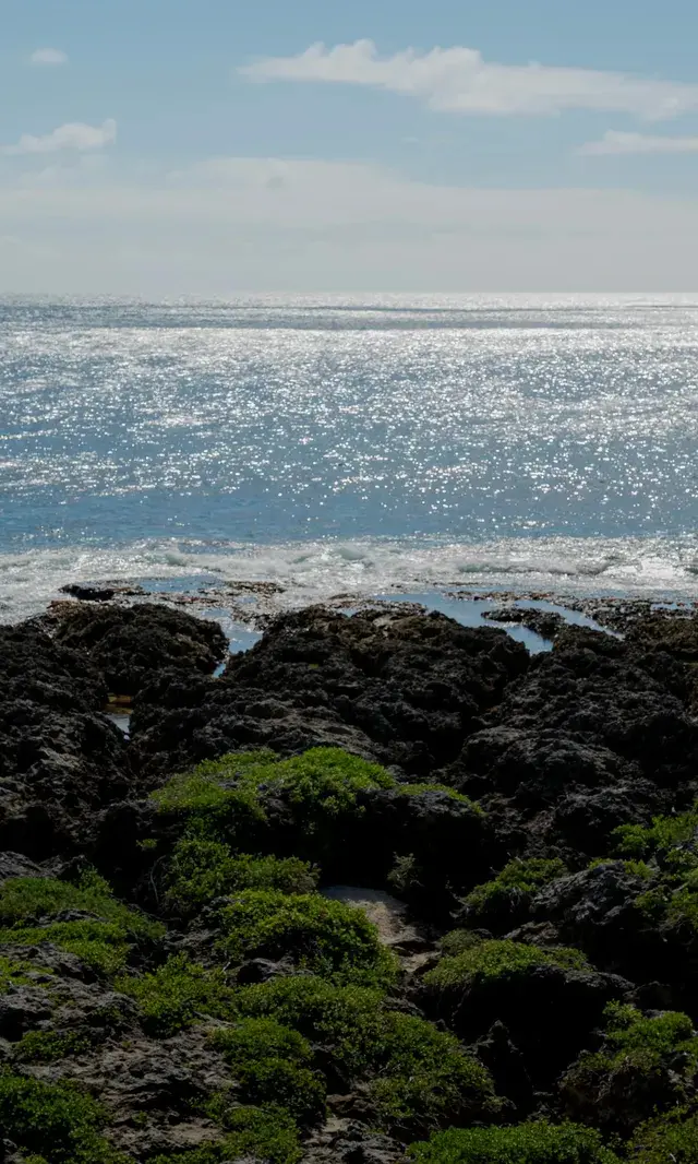 墾丁丨台灣最美26號公路 墾丁丨台灣最美26號公路