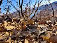 瀋陽周邊1.5h太極灣徒步!感受自然能量場