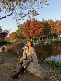 金陵Style直通！玄武湖落羽杉美成油畫暴擊