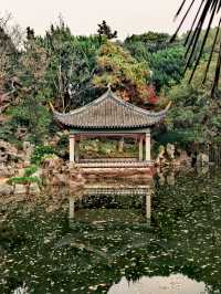 上海 | 葉家花園