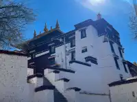 西藏day3|色拉寺 ·冬日拉薩鮮活的午後