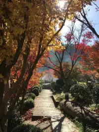 真的不是在京都!就在福州…