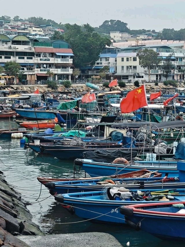 Hong Kong Zen✨ Hong Kong Zen✨