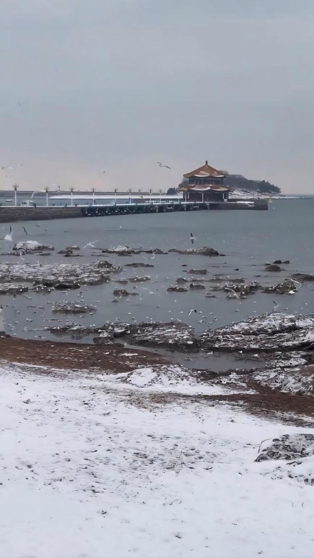 冬日的童話世界 冬日的童話世界