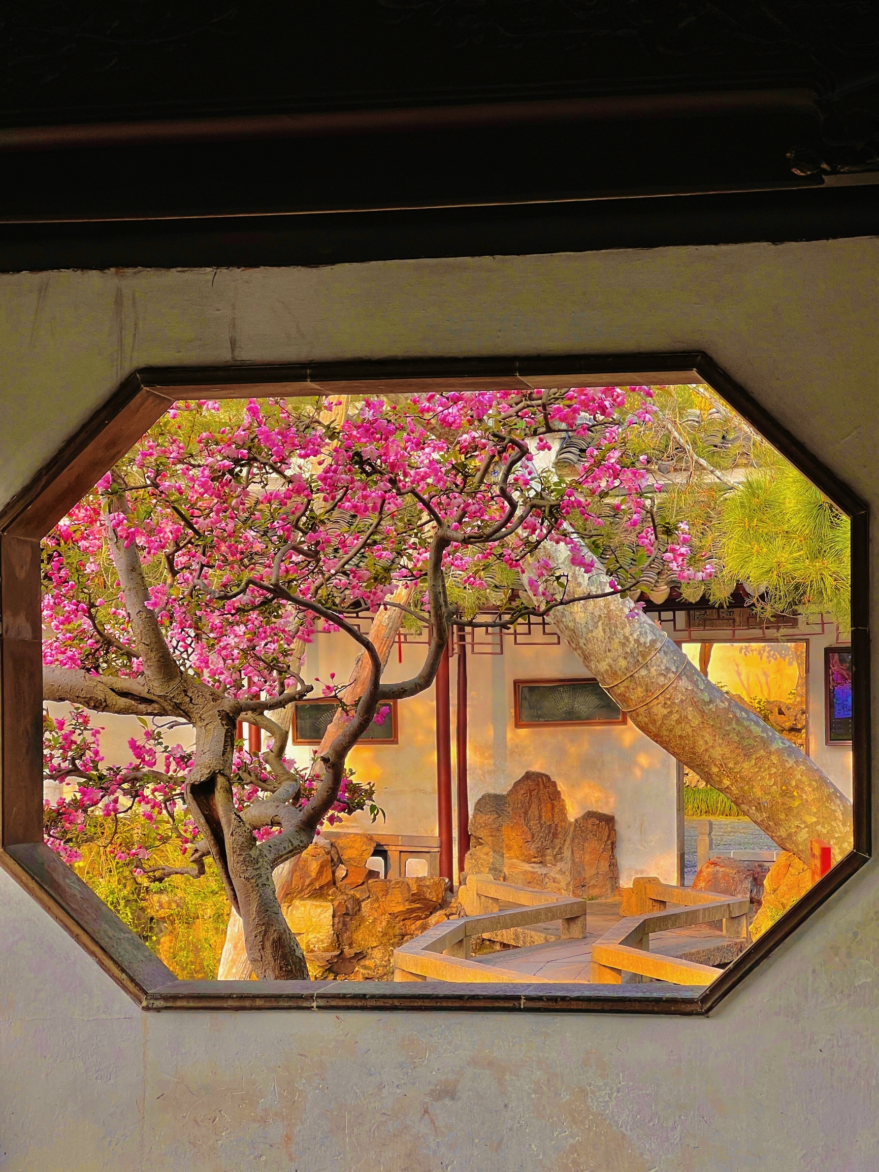 ページが存在しません