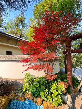 贛州｜藏在山林裡的治癒溫泉