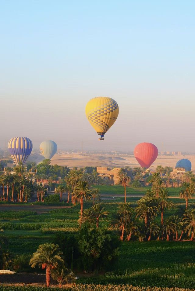 10天埃及遊這份攻略讓你玩到爽 10天埃及遊這份攻略讓你玩到爽