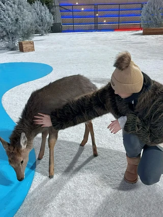 12.20青島クリスマスで子どもと一緒に鹿に成功して会いに行った