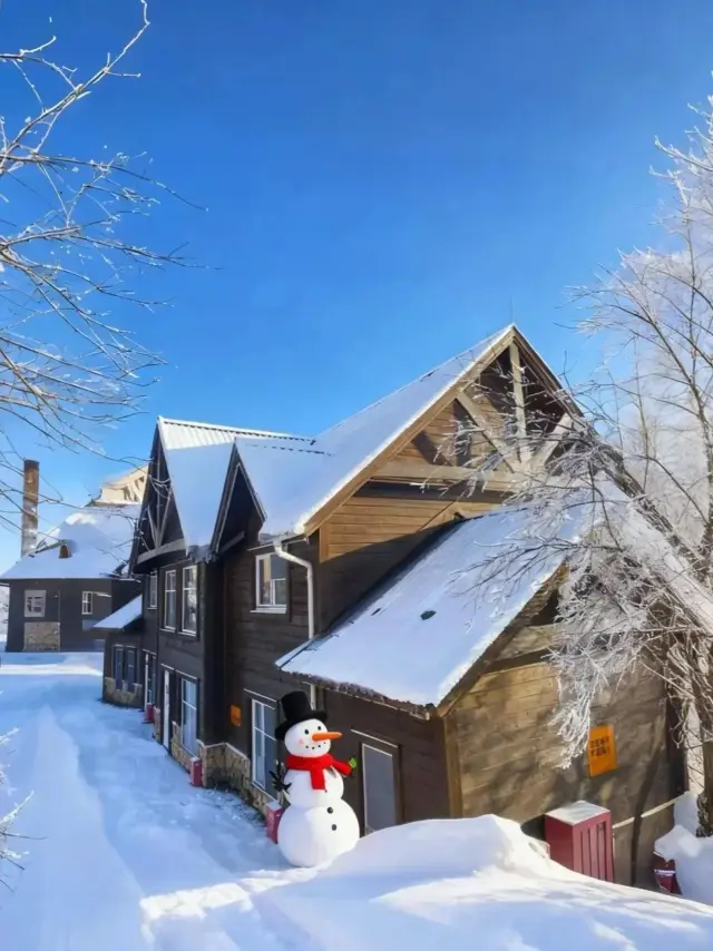 Chengdu + Xiling Snow Mountain! 4 Days 3 Nights Family Trip Guide