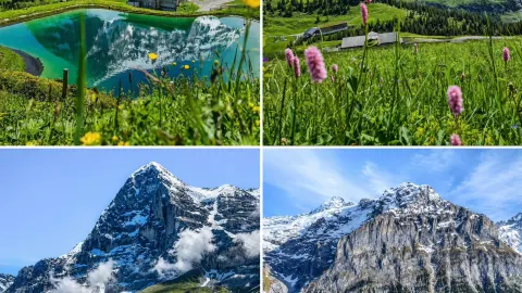 Pháp, Ý và Thụy Sĩ tạo thành một tuyến đường duy nhất, bao trùm toàn bộ châu Âu. — traveler post in Lucerne