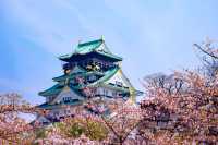 日韩13天｜從古寺金閣到碧海火山
