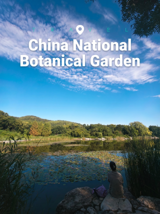 The clear lake at the National Botanical Garden looks stunning after the rain, with water lilies and lotus flowers in full bloom
