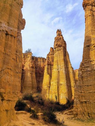 8-Day Mid-Autumn Jordan Trip: Save This Guide