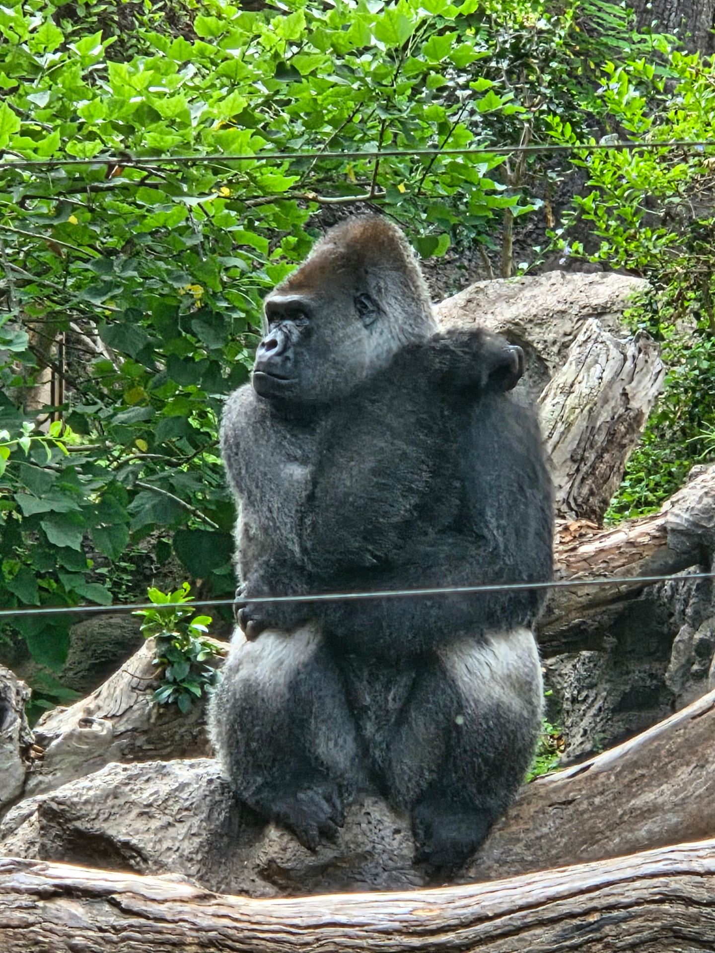 A Wonderful Zoo Focused on Conservation