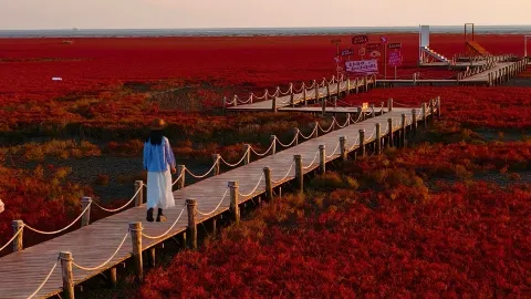 Welcome to Panjin Red Beach, where every frame is wallpaper-worthy — traveler post in Panjin