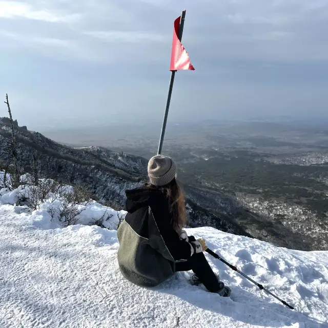 한라산의 꽃☃️❄️ 겨울의 영실코스⛰️