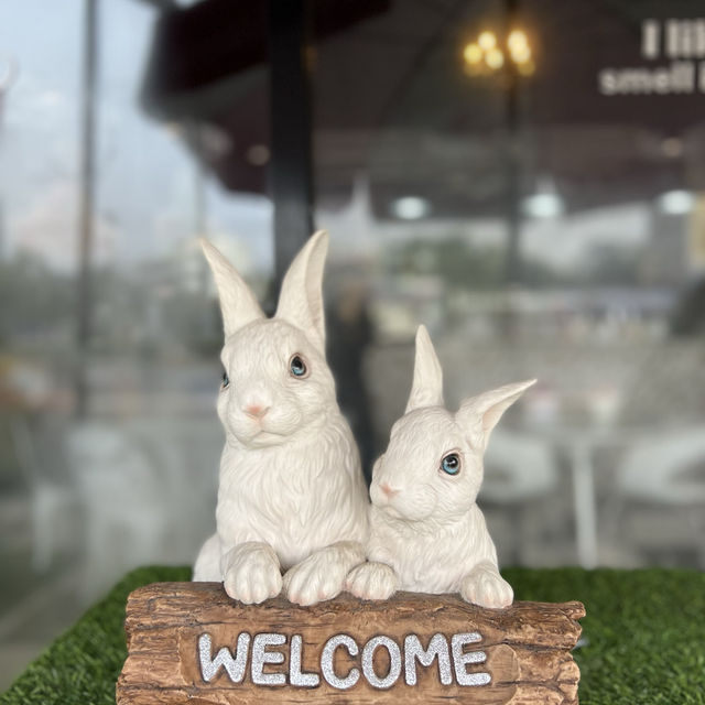 The Rabbit Cafe Ayutthaya คาเฟ่น่ารักๆๆในอยุธยา