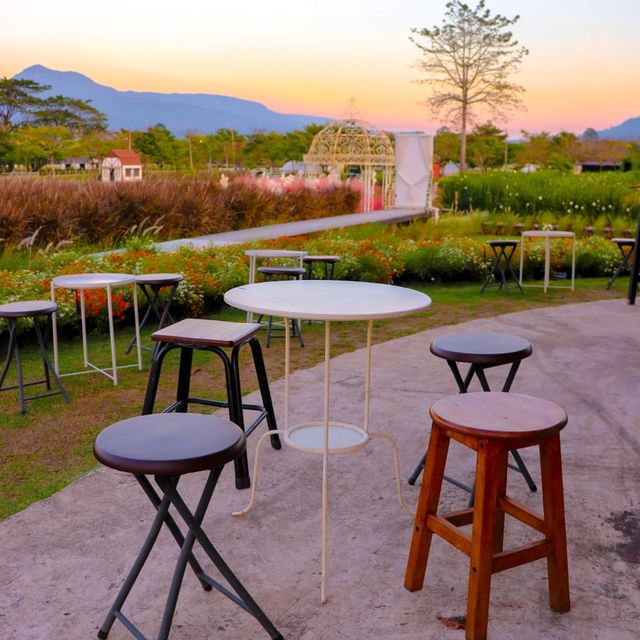 Bliss & Bloom cafe คาเฟ่ดีไซน์สวย กลางทุ่งดอกไม้