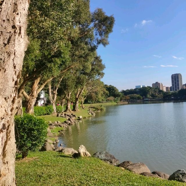 美麗又好散步的碧湖公園