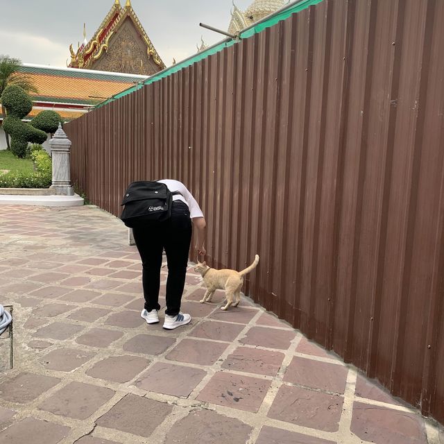 วัดโพธิ์