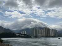 本地遊 | 東涌 | 捉緊櫻花園廣州櫻的尾巴
