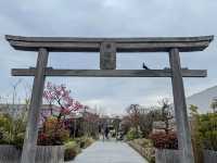 博多駅に一番近い神社⛩
