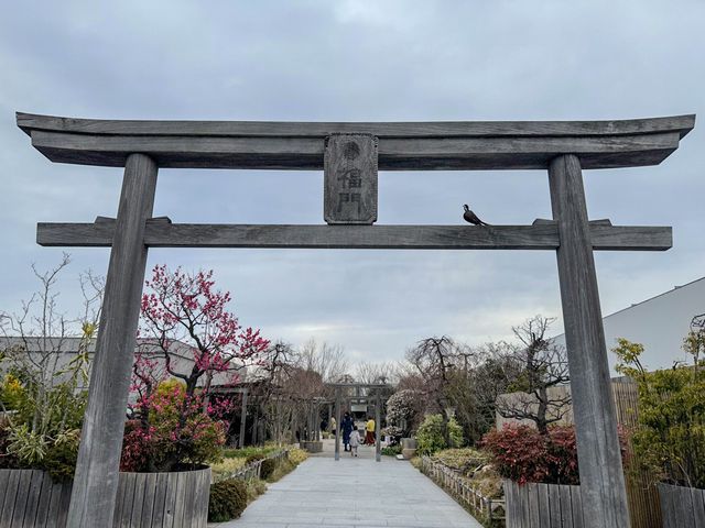 博多駅に一番近い神社⛩