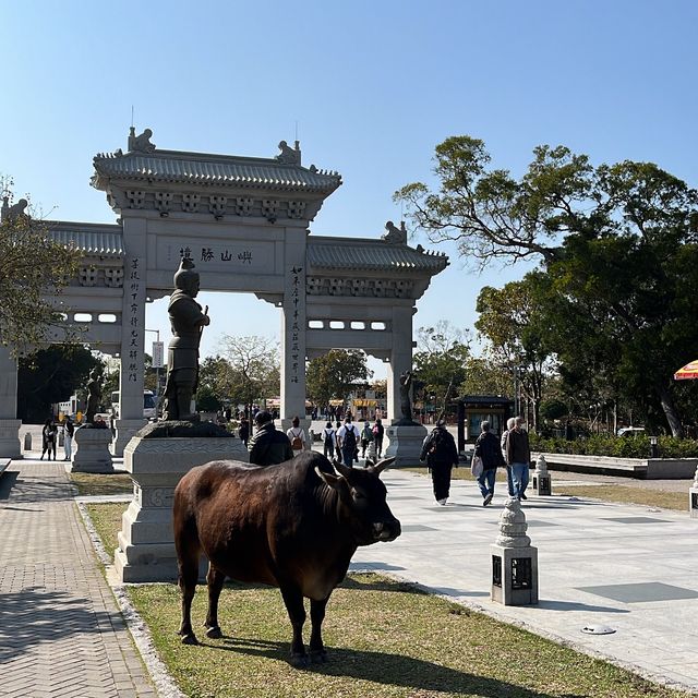 天壇大佛 寶蓮寺 洗滌心靈之旅 天壇大佛 寶蓮寺 洗滌心靈之旅